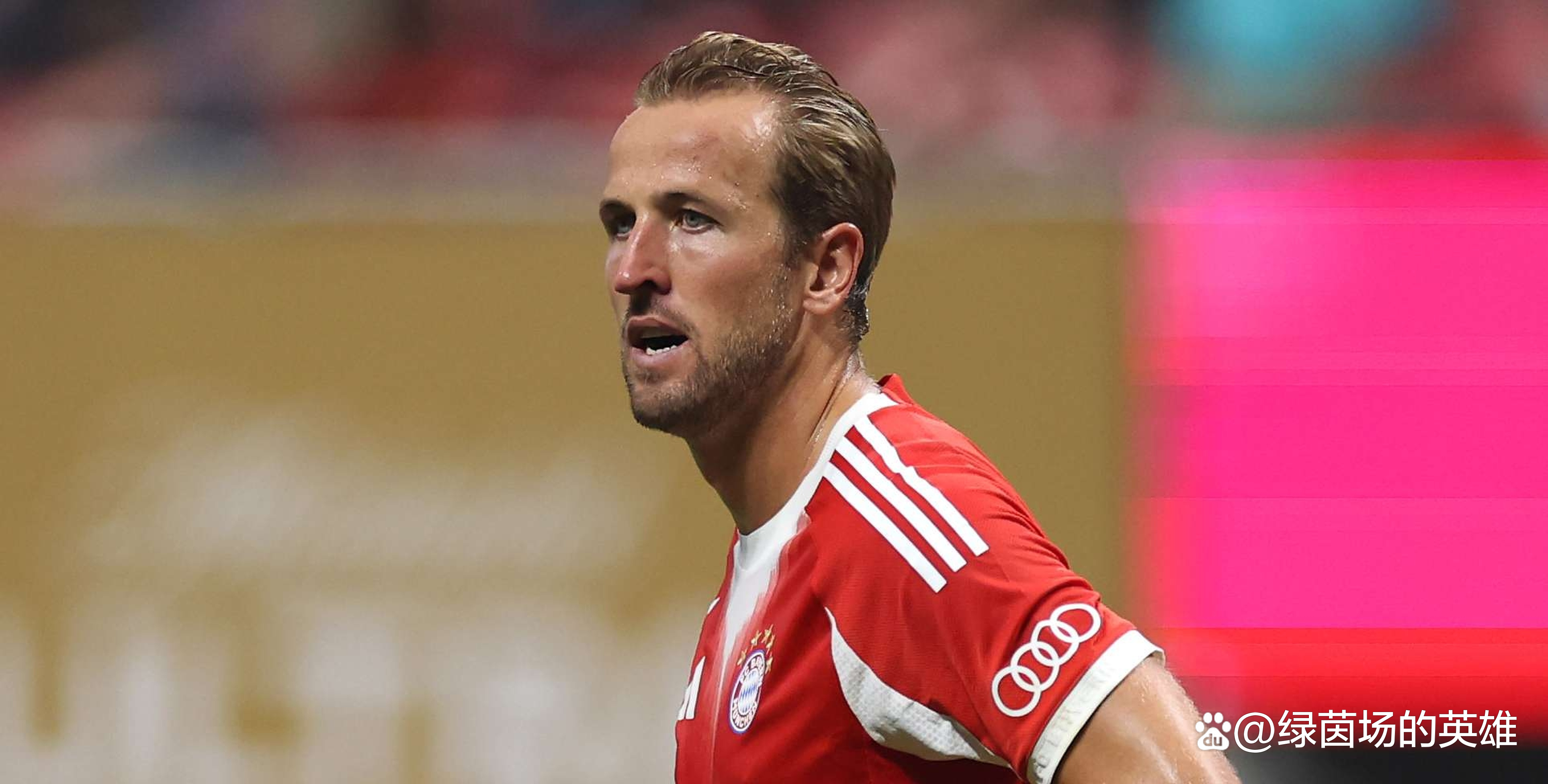 爱游戏注册平台 凯恩足球 